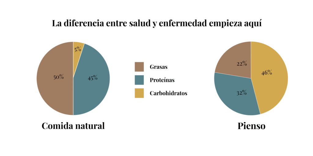 Gráfico comparativo entre dieta natural y pienso para perros – comida real con 45% grasas, 50% proteínas y 5% carbohidratos frente al pienso con 22% grasas, 32% proteínas y 46% carbohidratos