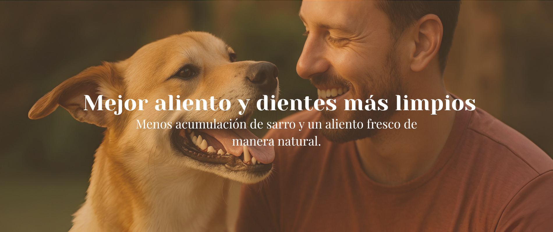 Inicio Hombre sonriendo junto a su perro con dientes sanos gracias a la comida natural