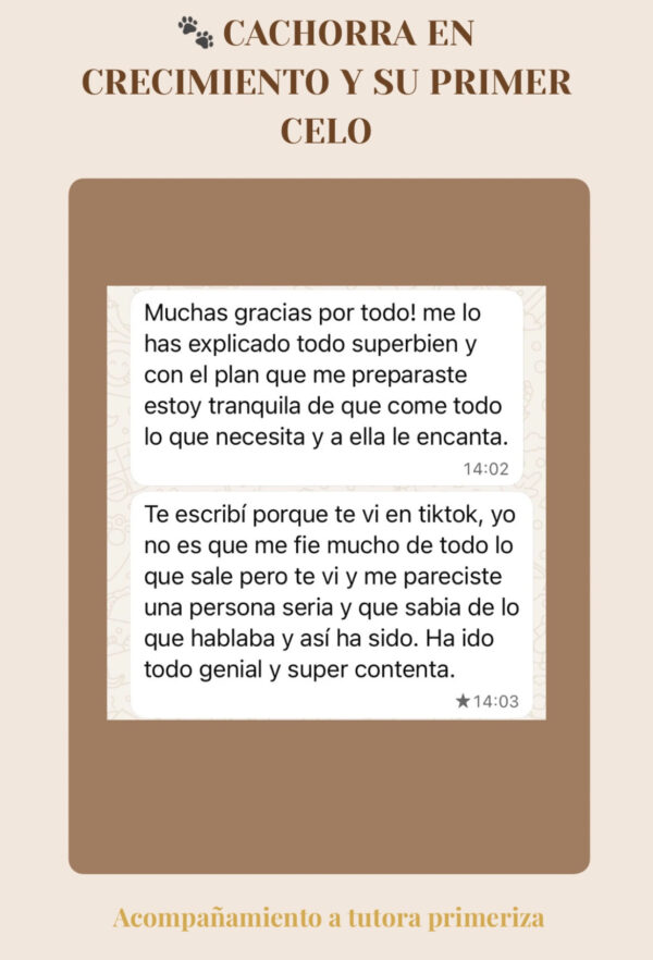 Asesorías “Testimonio de tutora tras plan nutricional para cachorra en crecimiento y primer celo.