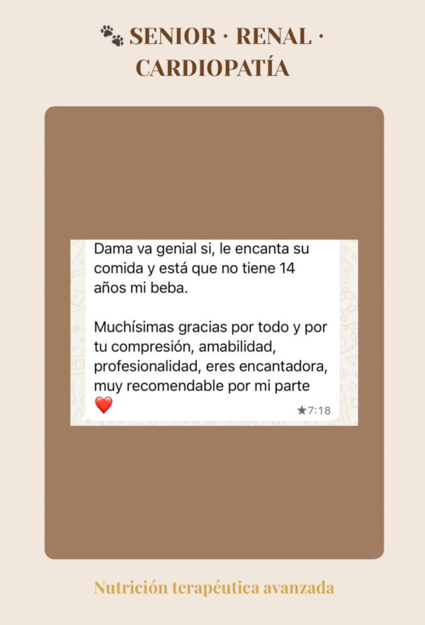 Asesorías Testimonio de tutora tras plan nutricional para perro senior con enfermedad renal y cardiopatía.