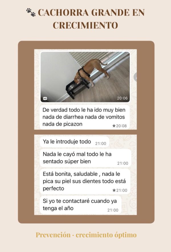 Asesorías Mensaje de tutora tras plan nutricional para cachorro en crecimiento con alimentación natural.