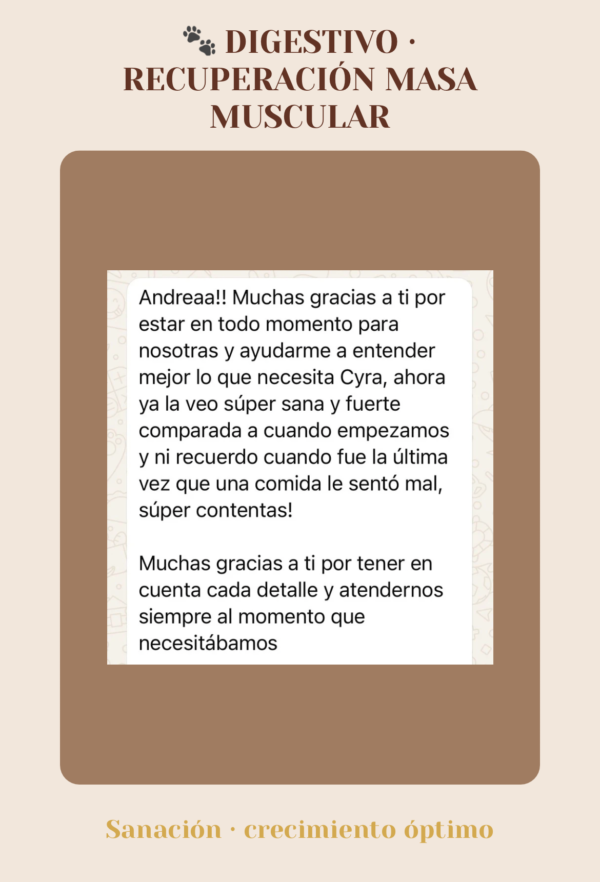 Asesorías Resultado tras asesoría nutricional para perro con problemas digestivos y recuperación de masa muscular.