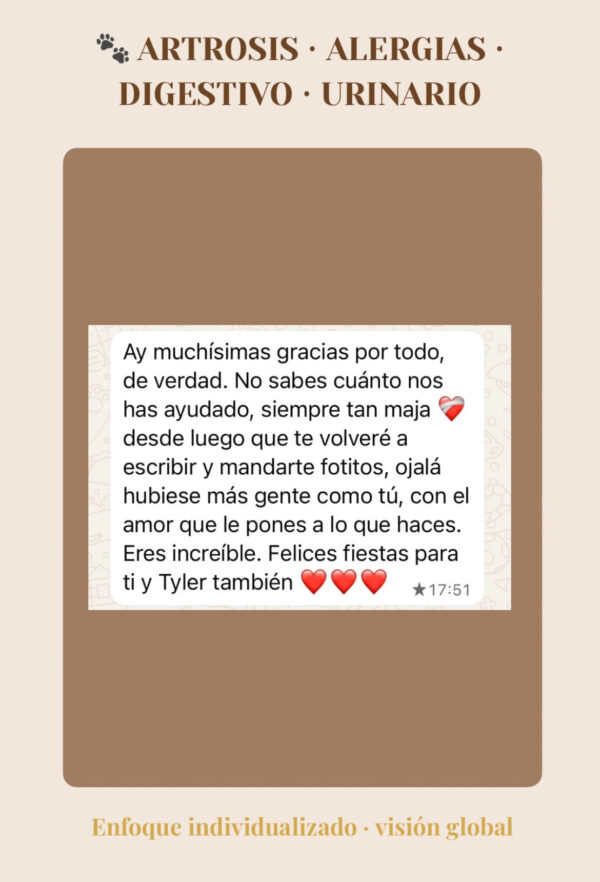 Asesorías Testimonio de asesoría nutricional para perro con artrosis, alergias y problemas digestivos.
