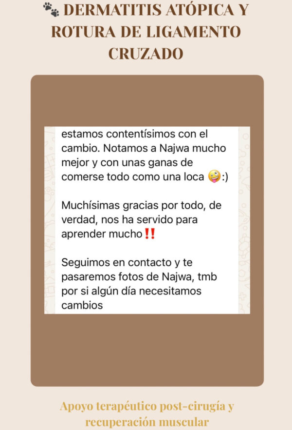 Asesorías Testimonio real tras asesoría nutricional para perro con dermatitis atópica y rotura de ligamento cruzado.